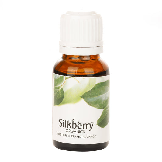 Camphor Essential Oil 20ml