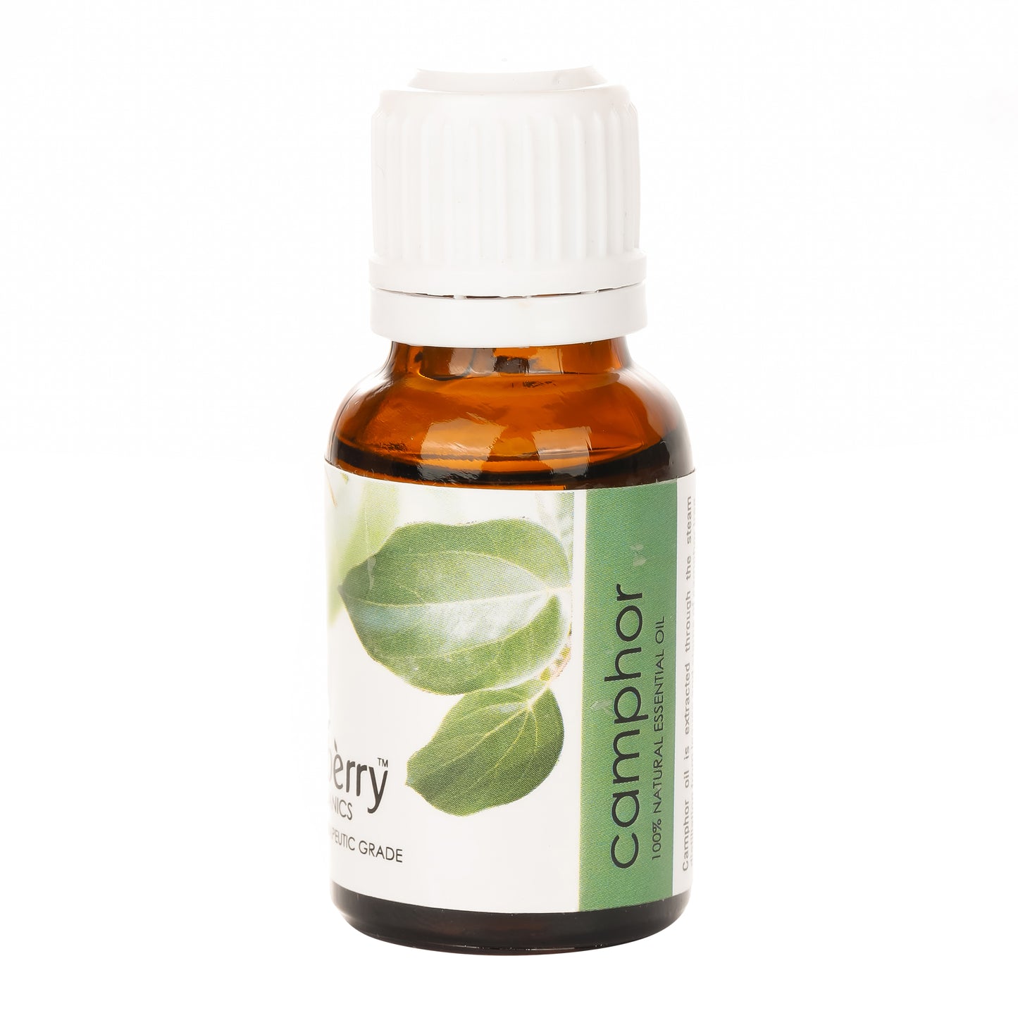 Camphor Essential Oil